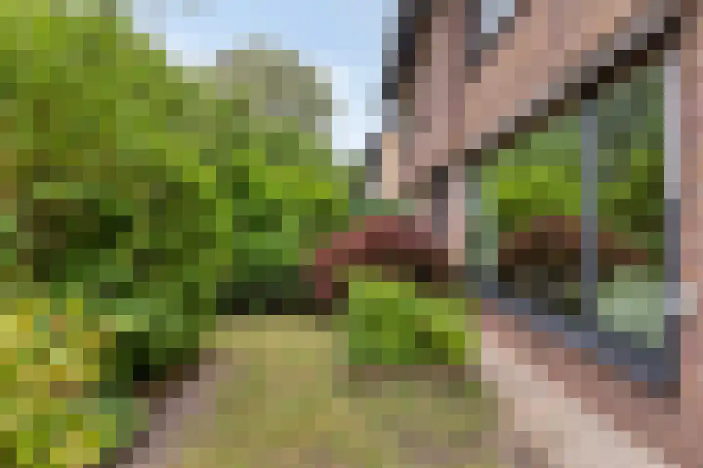 Engelsbergenstraat 52 Eindhoven thumbnail 6