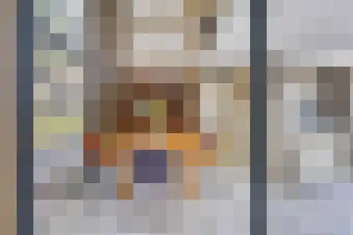 Engelsbergenstraat 59 Eindhoven thumbnail 22