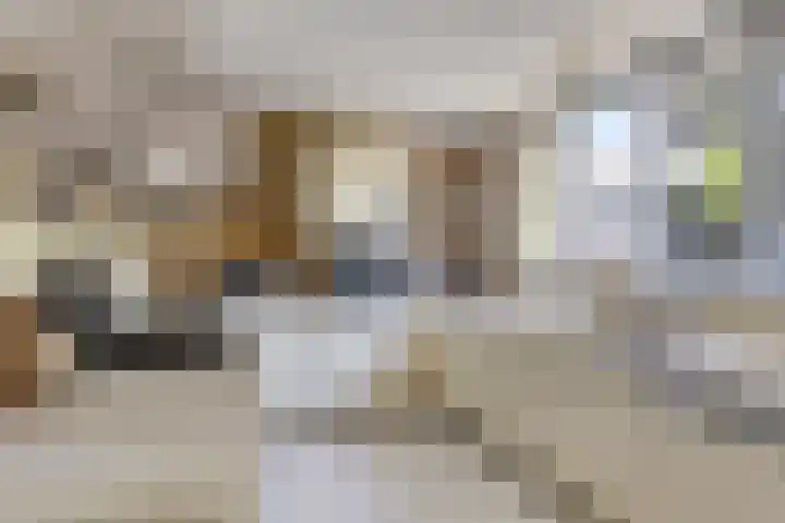 Engelsbergenstraat 59 Eindhoven thumbnail 4