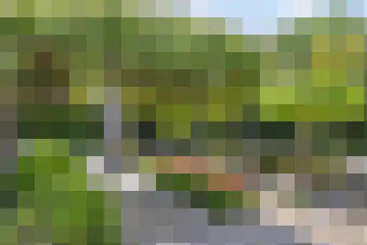 Engelsbergenstraat 59 Eindhoven thumbnail 56
