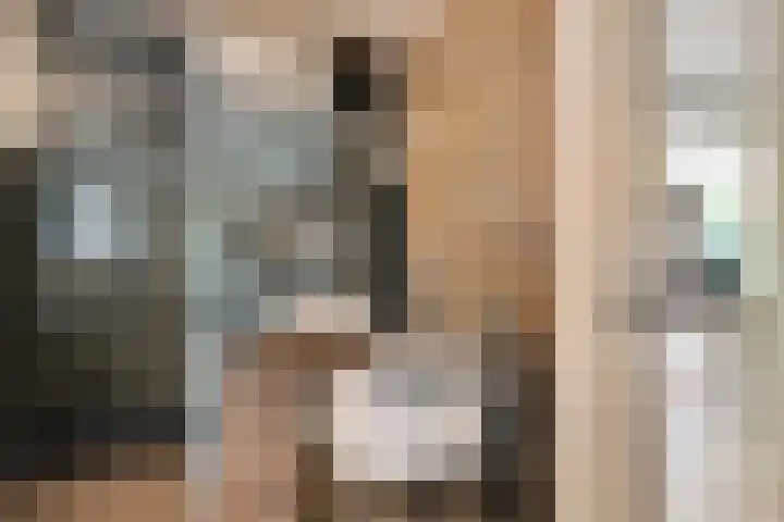 Engelsbergenstraat 73 Eindhoven thumbnail 31