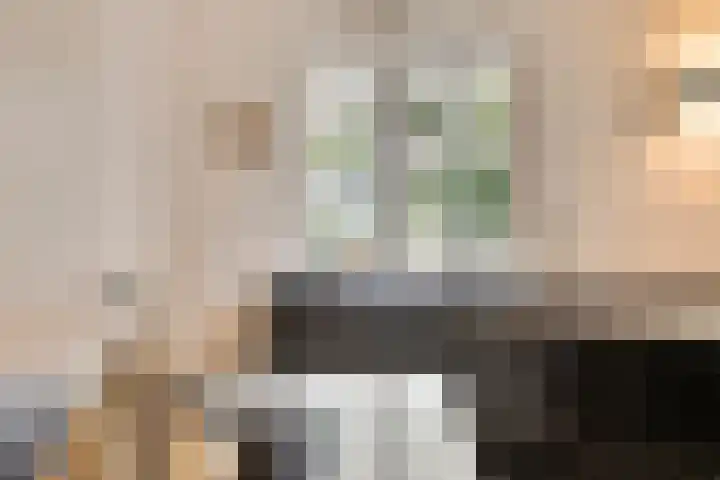 Engelsbergenstraat 73 Eindhoven thumbnail 33