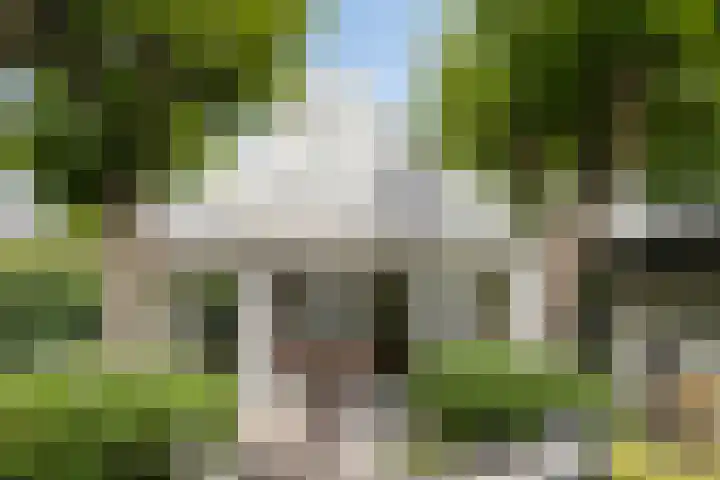 Engelsbergenstraat 73 Eindhoven thumbnail 61