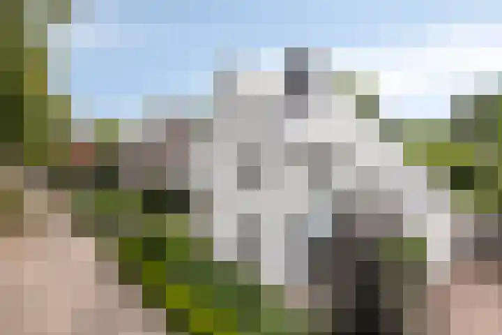 Engelsbergenstraat 73 Eindhoven thumbnail 8
