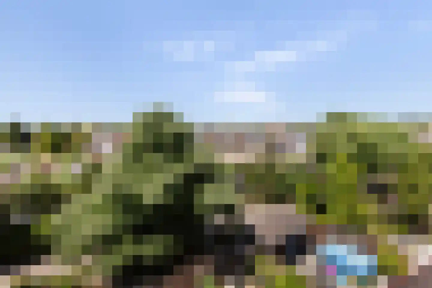 Engelsche Boomgaert 11 Vlaardingen thumbnail 47