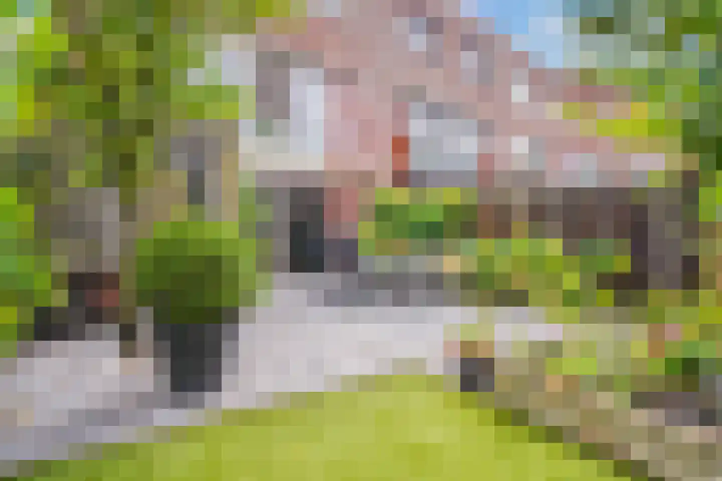 Engelsche Boomgaert 17 Vlaardingen thumbnail 5