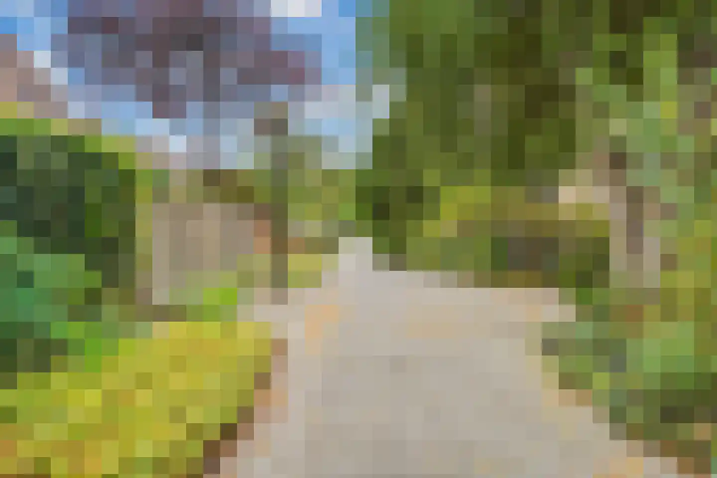 Engelsche Boomgaert 17 Vlaardingen thumbnail 6