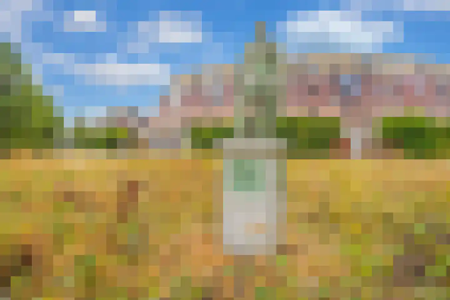 Engelsche Boomgaert 17 Vlaardingen thumbnail 69