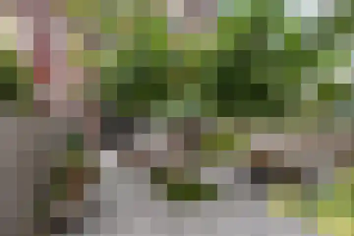 Engelsche Boomgaert 73 Vlaardingen thumbnail 14