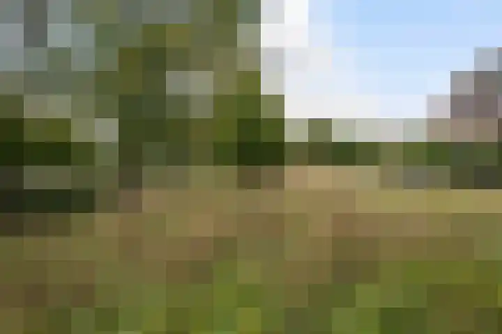 Engelsche Boomgaert 73 Vlaardingen thumbnail 36