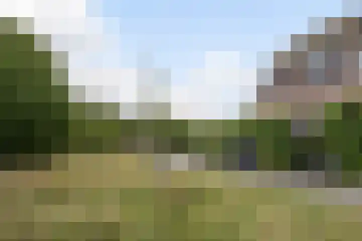 Engelsche Boomgaert 73 Vlaardingen thumbnail 37