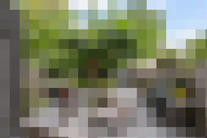 Engelsche Boomgaert 73 Vlaardingen thumbnail 4