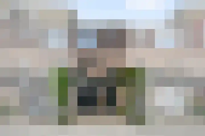 Engelsche Boomgaert 73 Vlaardingen thumbnail 5