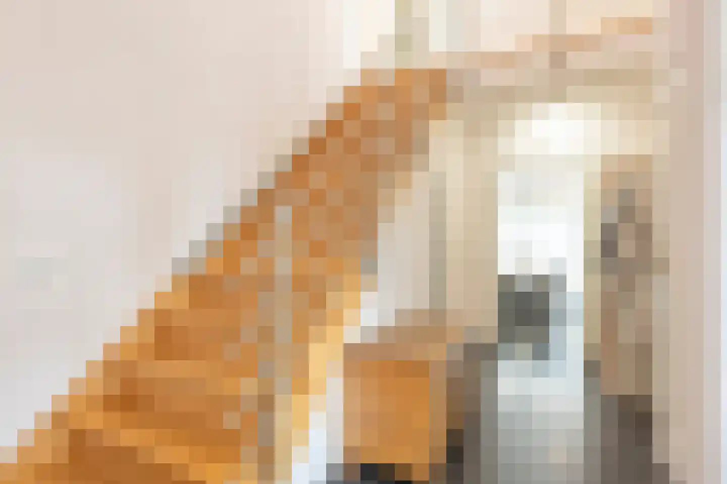Engelsdalstraat 19 Slenaken thumbnail 4