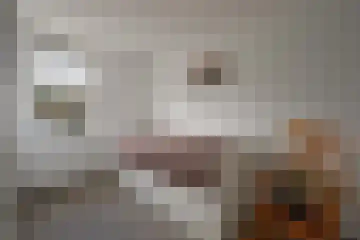 Engelsdalstraat 9 Slenaken thumbnail 13