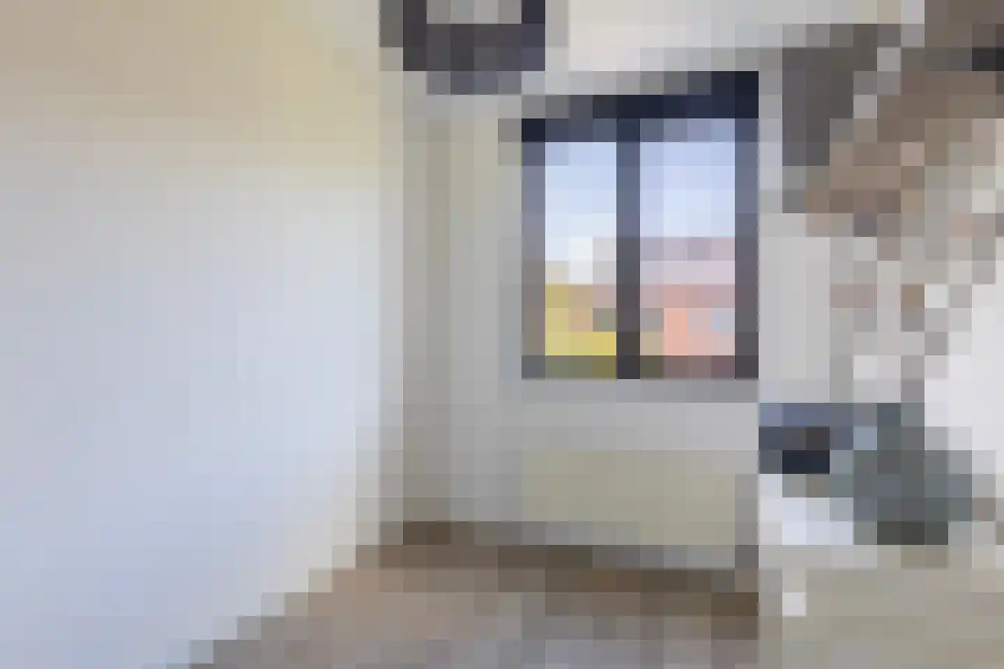 Engelse Hoek 13 Jaarsveld thumbnail 41