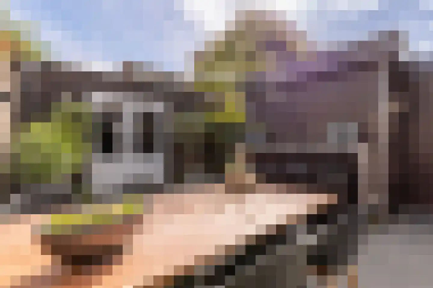 Engelse Hoek 13 Jaarsveld thumbnail 52