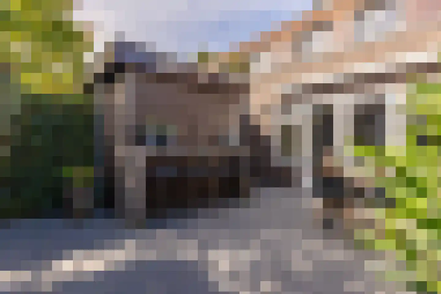 Engelse Hoek 13 Jaarsveld thumbnail 59