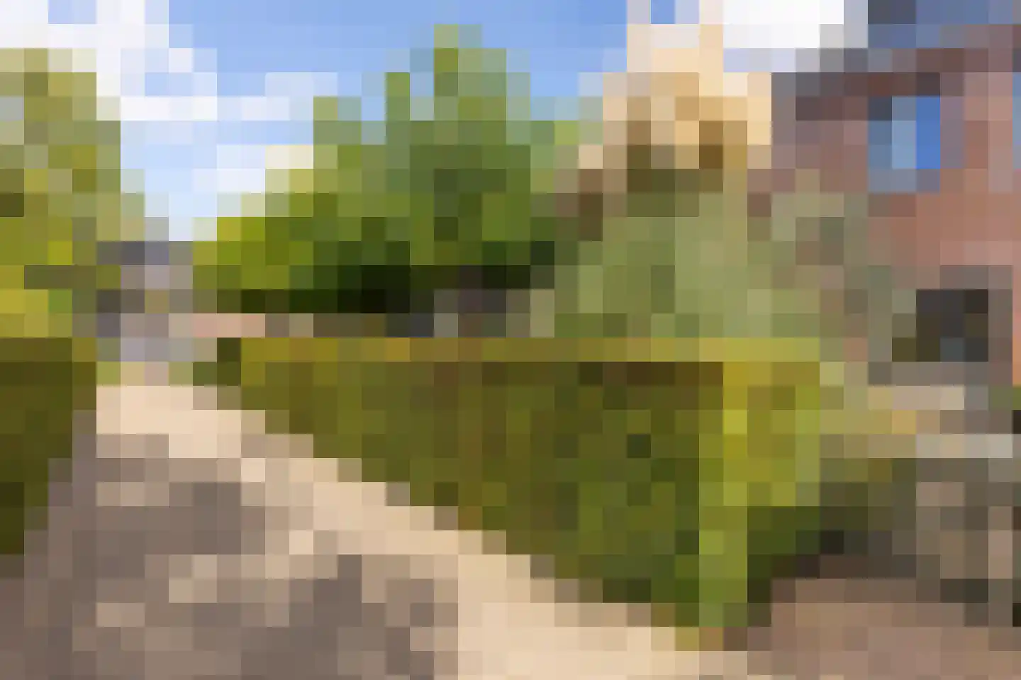 Engelse Hoek 13 Jaarsveld thumbnail 62