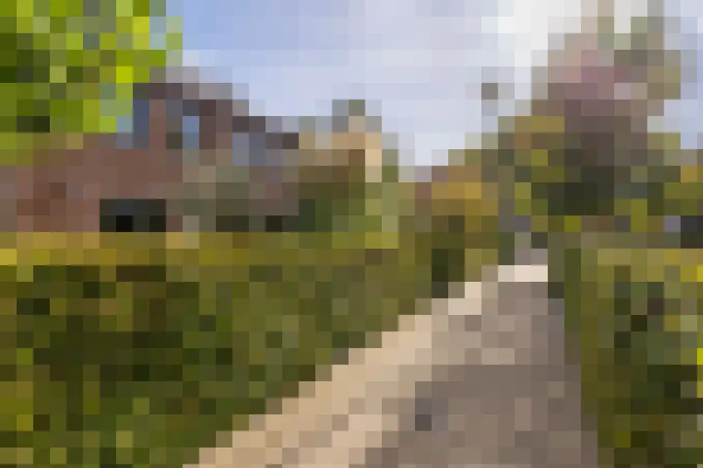 Engelse Hoek 13 Jaarsveld thumbnail 63
