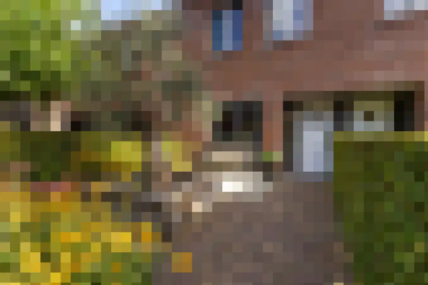 Engelse Hoek 13 Jaarsveld thumbnail 7