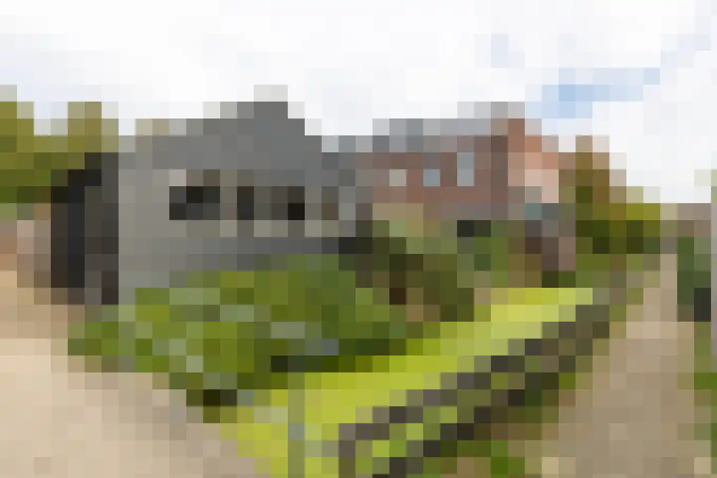Engelse Hoek 17 Jaarsveld thumbnail 53