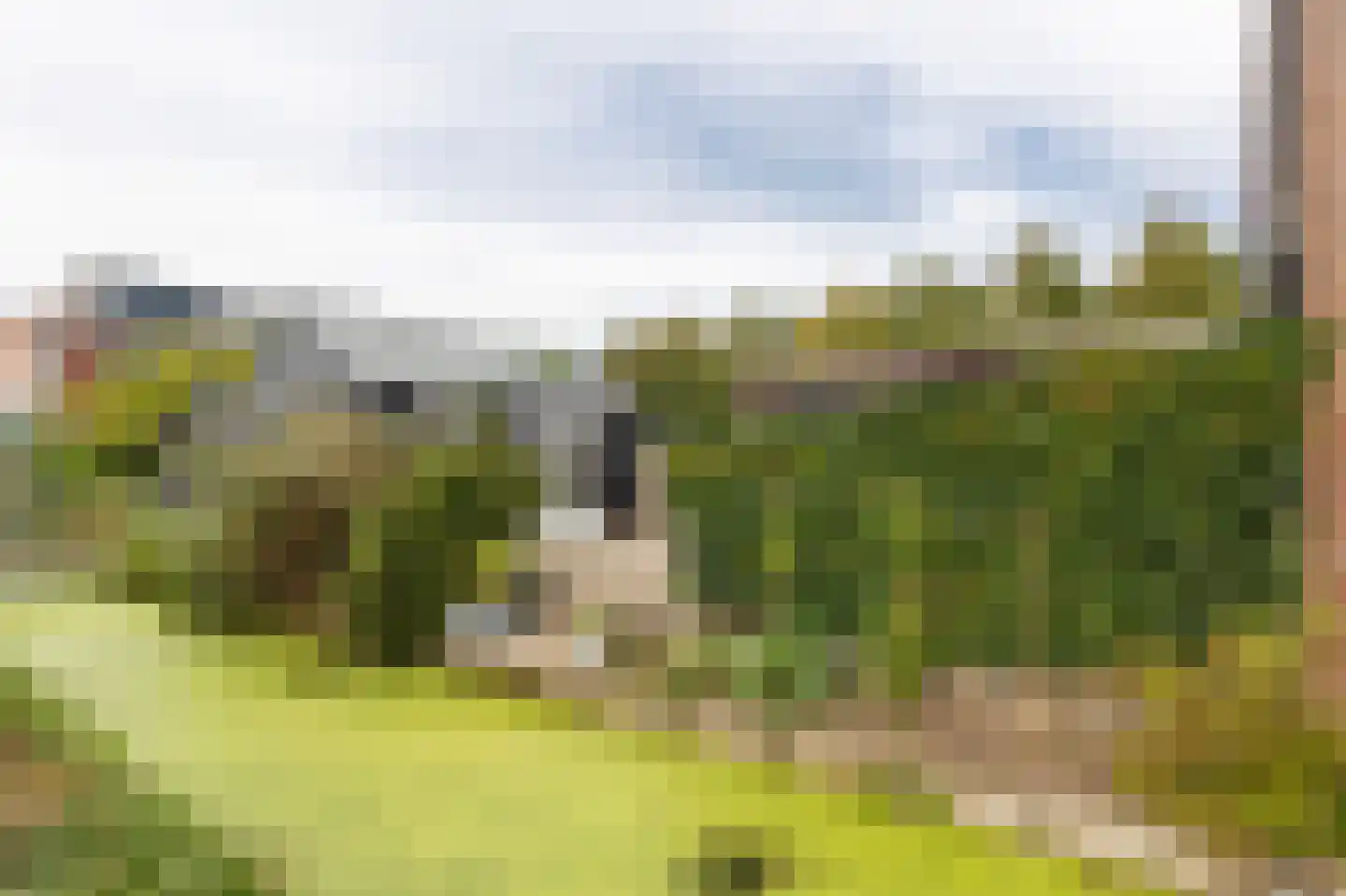 Engelse Hoek 17 Jaarsveld thumbnail 54