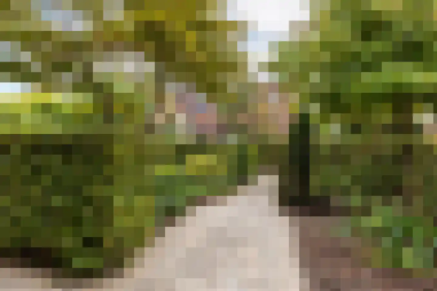 Engelse Hoek 17 Jaarsveld thumbnail 55