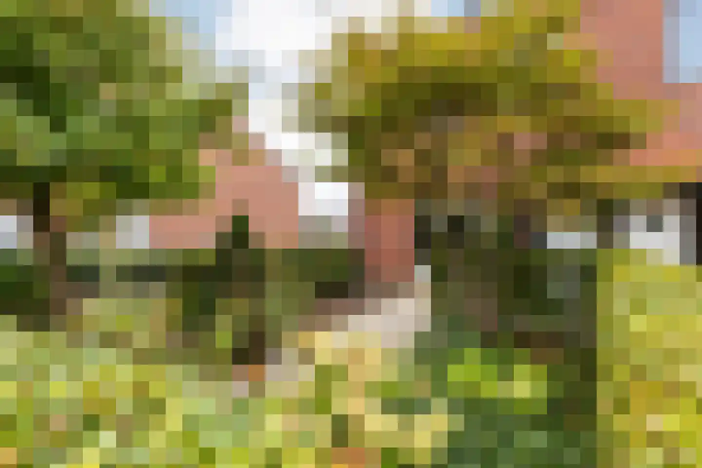 Engelse Hoek 17 Jaarsveld thumbnail 56