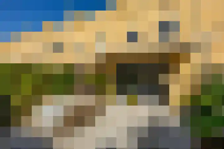 Engelse Park 34 Groningen thumbnail 48