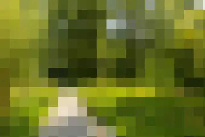 Engelse Park 34 Groningen thumbnail 57