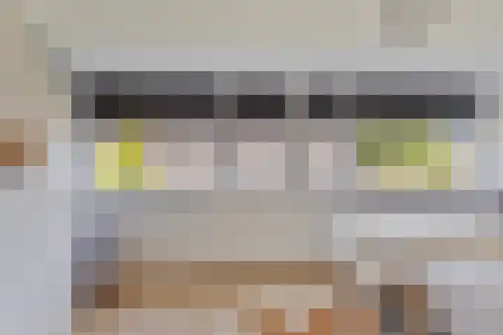 Engelse Park 4 Groningen thumbnail 17