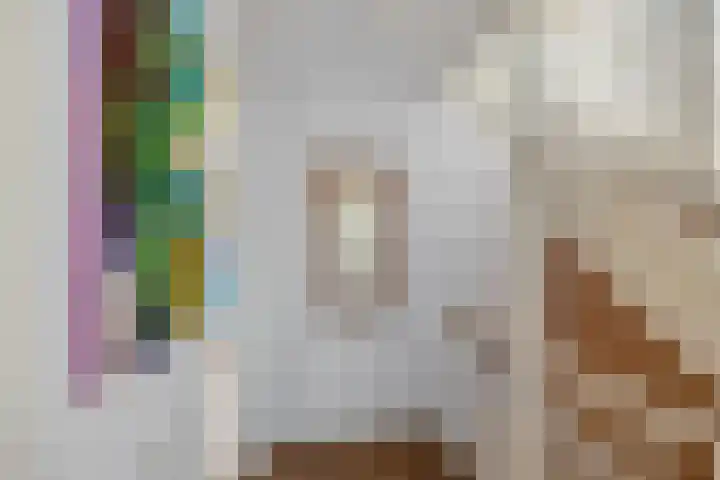 Engelse Park 4 Groningen thumbnail 18