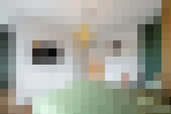 Engelse Park 4 Groningen thumbnail 20