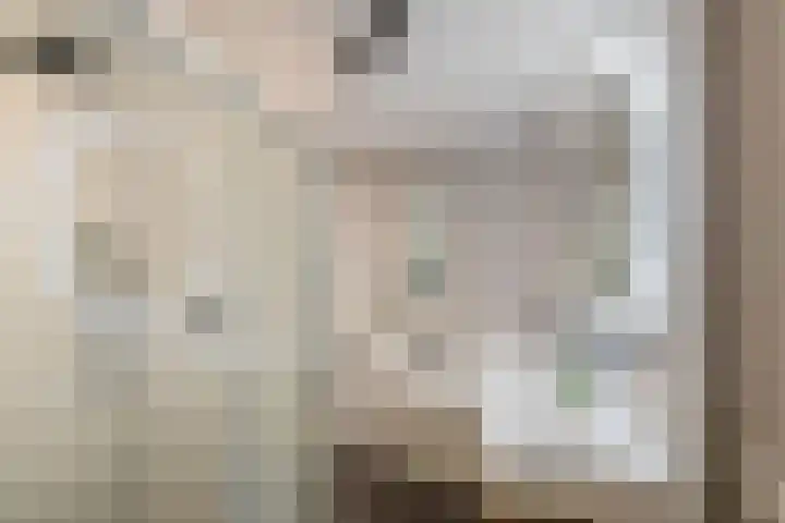 Engelse Park 4 Groningen thumbnail 27