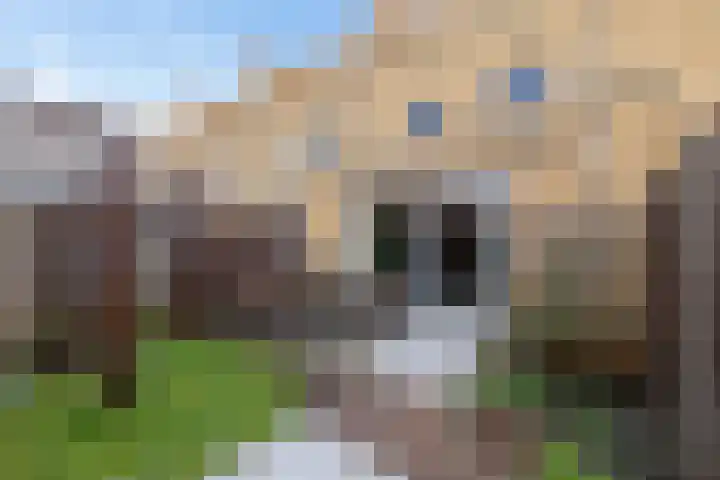 Engelse Park 4 Groningen thumbnail 39