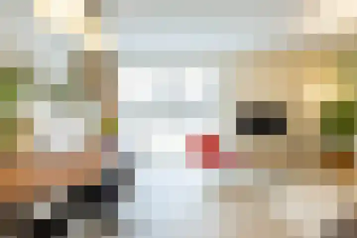 Engelse Park 71 Groningen thumbnail 17