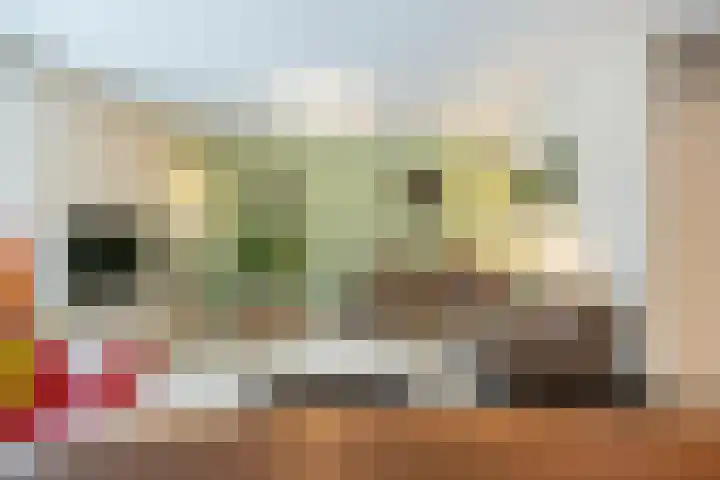 Engelse Park 71 Groningen thumbnail 19