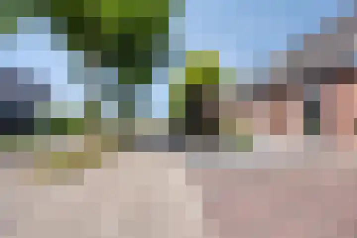 Engelse Park 71 Groningen thumbnail 22