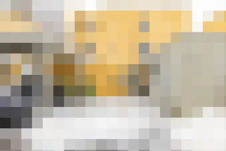 Engelse Park 71 Groningen thumbnail 5