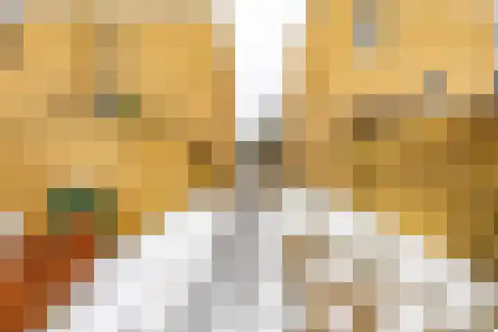 Engelse Park 71 Groningen thumbnail 59