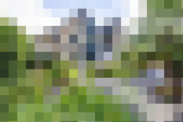 Engelse Schans 38 Lievelde