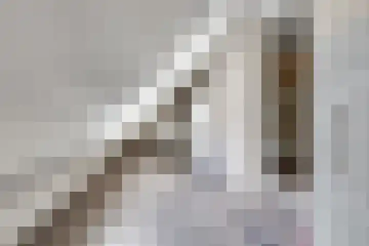 Engelse Schans 38 Lievelde thumbnail 20