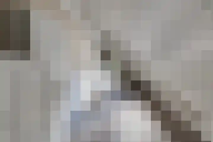 Engelse Schans 38 Lievelde thumbnail 21
