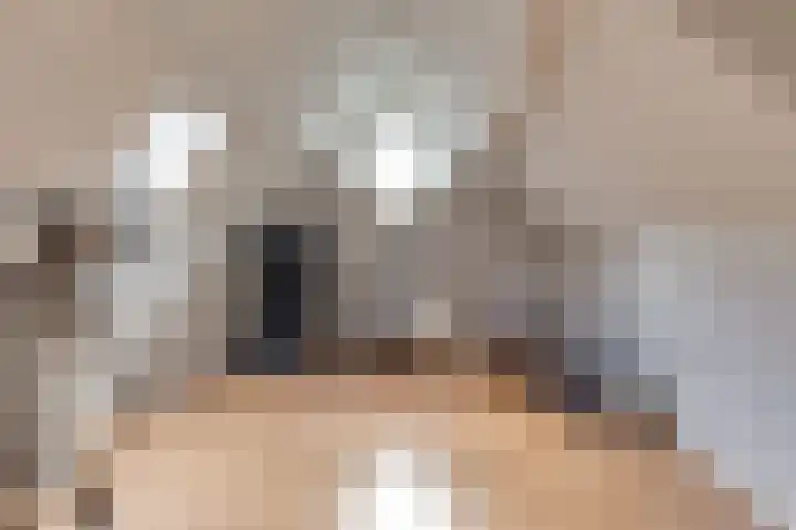 Engelse Schans 38 Lievelde thumbnail 24