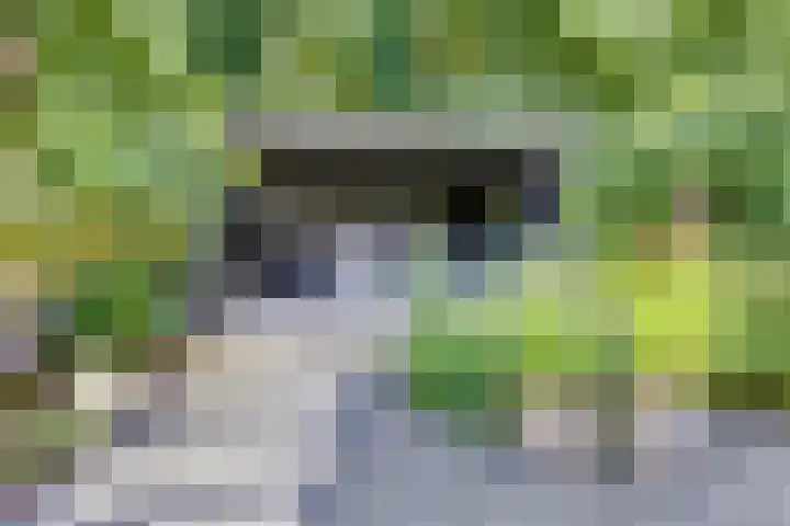 Engelse Schans 38 Lievelde thumbnail 27
