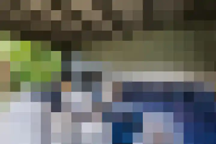 Engelse Schans 38 Lievelde thumbnail 28