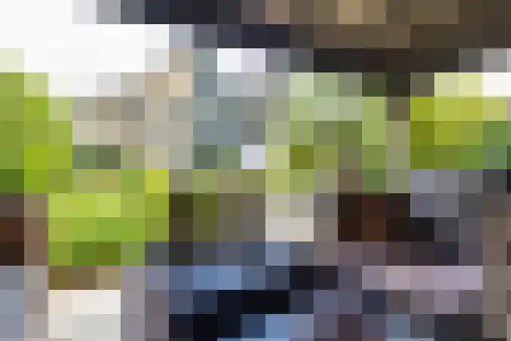 Engelse Schans 38 Lievelde thumbnail 29