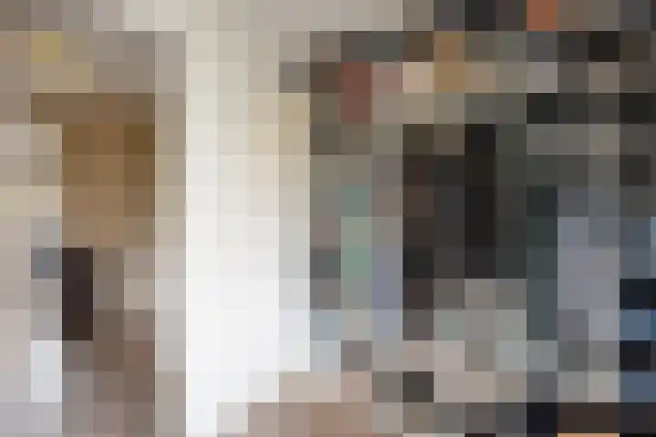 Engelse Schans 6 Lievelde thumbnail 17