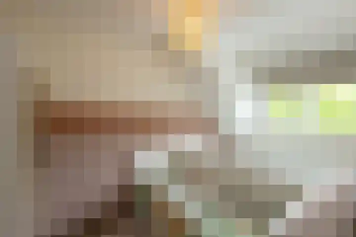 Engelse Schans 6 Lievelde thumbnail 18